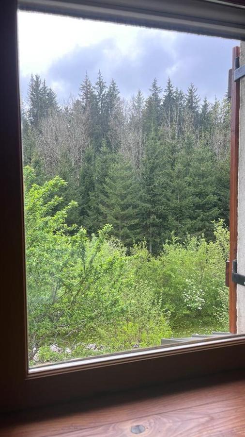 L'Ermitage De Meyriat Villa Brenod Eksteriør bilde