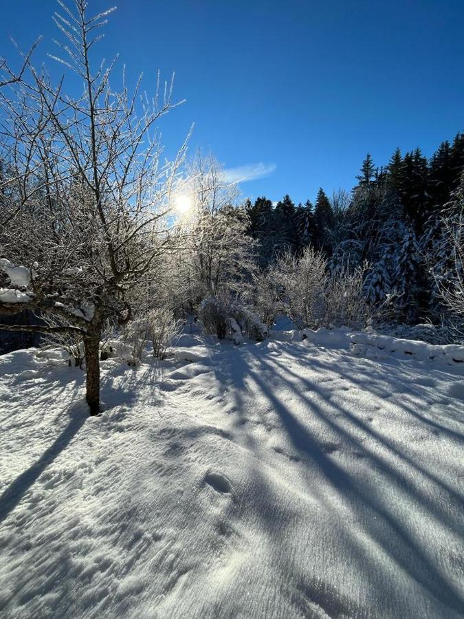 L'Ermitage De Meyriat Villa Brenod Eksteriør bilde
